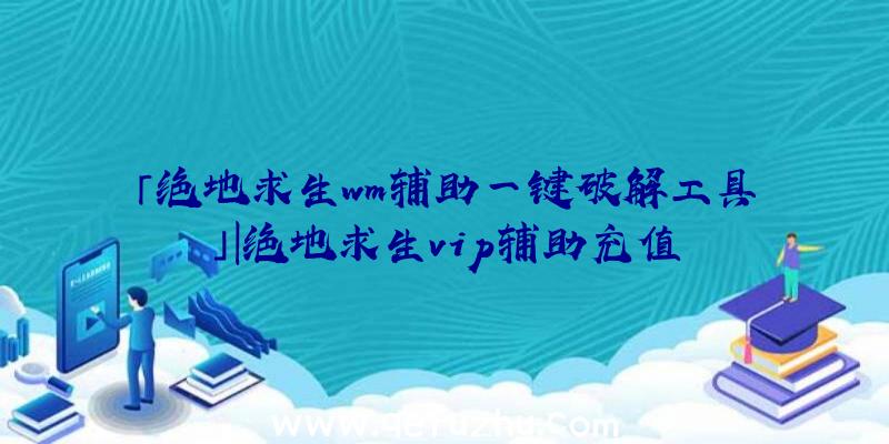 「绝地求生wm辅助一键破解工具」|绝地求生vip辅助充值